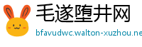 毛遂堕井网